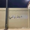 habiba.ahmad879