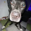 shadybs5