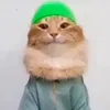 ozzychowpow