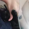 danglaidy