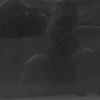 amirasead2