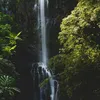 chillvibe33
