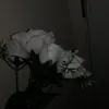 lu_na686