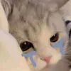 h_i_e_u_1_2_3