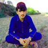 waliwazir142