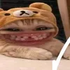 ngudellchiuduoc2