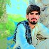 imambalochawarani604