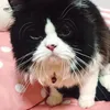 cocolove0009