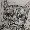 neonkittyposser