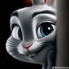 kiten264