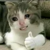 userjhjoz8fmto