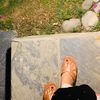 syedaamnaabbas65