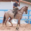 juanbarros373