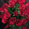 lla666931gmail.com