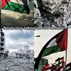 mostafa_sasa096