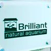 brilliant_aquarium