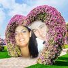carlotonialiccard