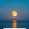 user3558022543118