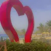 mlak.zhran