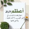 user1177042818359