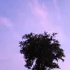 wardoyowardoyo24