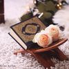 adammohamed7422