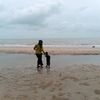 wafifahreza1