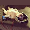 2hotdinonuggie