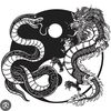 dragonsnakes42620
