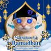 oficial_bintang_01