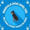 makuladogshelter_uganda