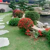 thanhbui5433