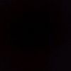 pandi_520