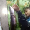 xin.pham37