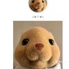 pimpim.039