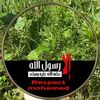 yasermohamad543