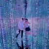 khoinguyen9696
