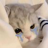 _icaww1