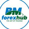 BM FOREX HUB