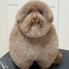 ごつもりプードル
