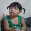 niml_k9