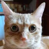 akinadda