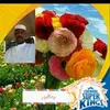 user8067613924056
