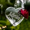 adnan.saqi06