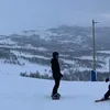 dizzetisse
