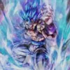 gogetablue53