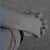 shna_anwar15