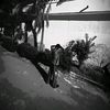 hamzi_062