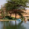 elwady84