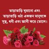 abdullahalmamun10143